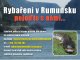 Ryba�en� v Rumunsku
