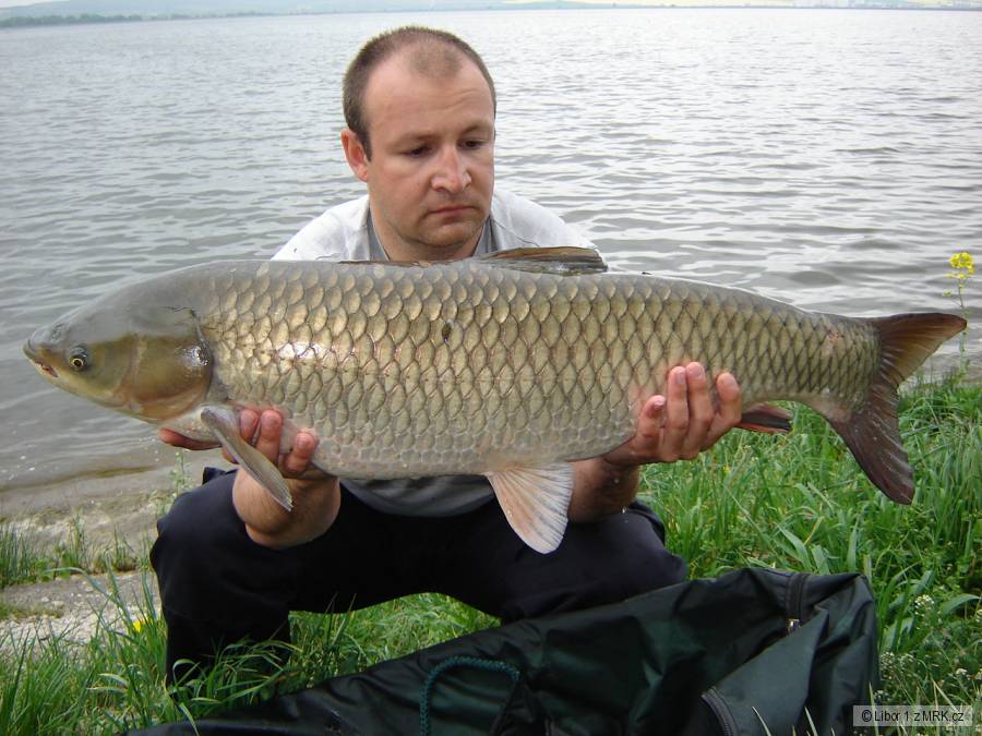 Dyje 5 96cm 12,5kg amur