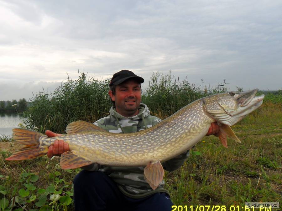 loni se dařilo 113cm