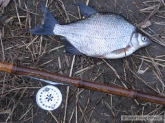 cejnek malý 36cm 0,8kg