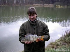 Kliknutím fotografii zvětšíte Můj taťka a okoun 38cm.