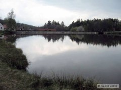 Kliknutím fotografii zvětšíte Další stoják, kde pstruzi vážně jsou...