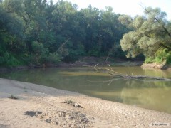 Kliknutím fotografii zvětšíte Latorica 2009