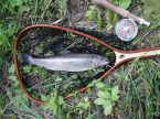 Duh�k ze Svratky 9-10