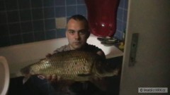 Kliknutím fotografii zvětšíte kapr