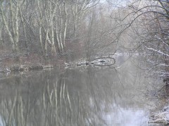 Kliknutím fotografii zvětšíte