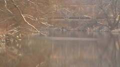 Kliknutím fotografii zvětšíte