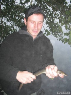 hádě