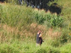 Kliknutím fotografii zvětšíte Pan muškař v akci
