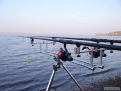 Stojan Giants Fishing Euro Pod 5 Rods