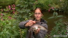 Kliknutím fotografii zvětšíte zahájená na lipany 34cm