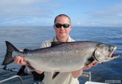 Chinook salmon