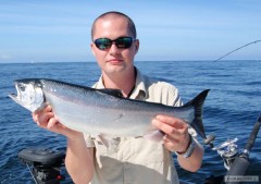 Coho salmon