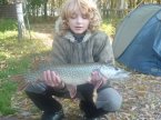60 cm 4 kg