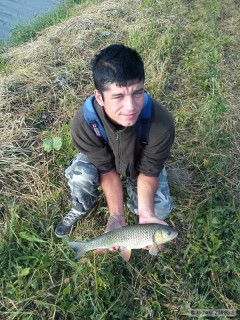 Jalec Hlavatý 50 cm