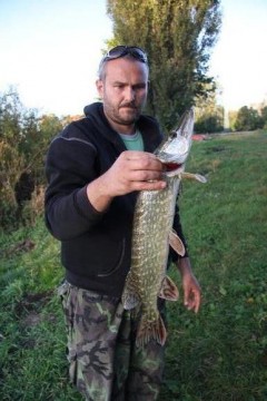 Štika64