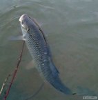 I v p�ikalen� vod� se n�co povedlo...