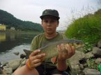 Tlou�t�k na feeder 