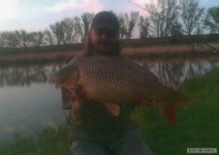 rena