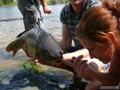 lipno
