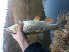 Kliknutím fotografii zvětšíte Sázavský Tloušť