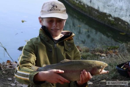 sports - salmo spinning cup eu