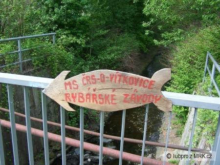 rybářské závody na mašinhauzu