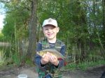 n�hled ryby