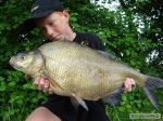 n�hled ryby