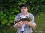 n�hled ryby