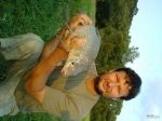 n�hled ryby