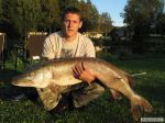 n�hled ryby