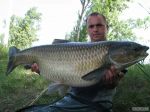 n�hled ryby