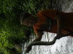 n�hled ryby
