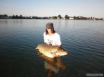 n�hled ryby
