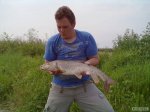 n�hled ryby