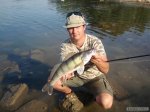 n�hled ryby