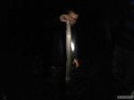 n�hled ryby
