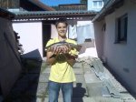 n�hled ryby