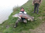 n�hled ryby