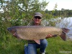 n�hled ryby