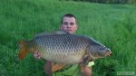 n�hled ryby