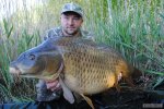 n�hled ryby