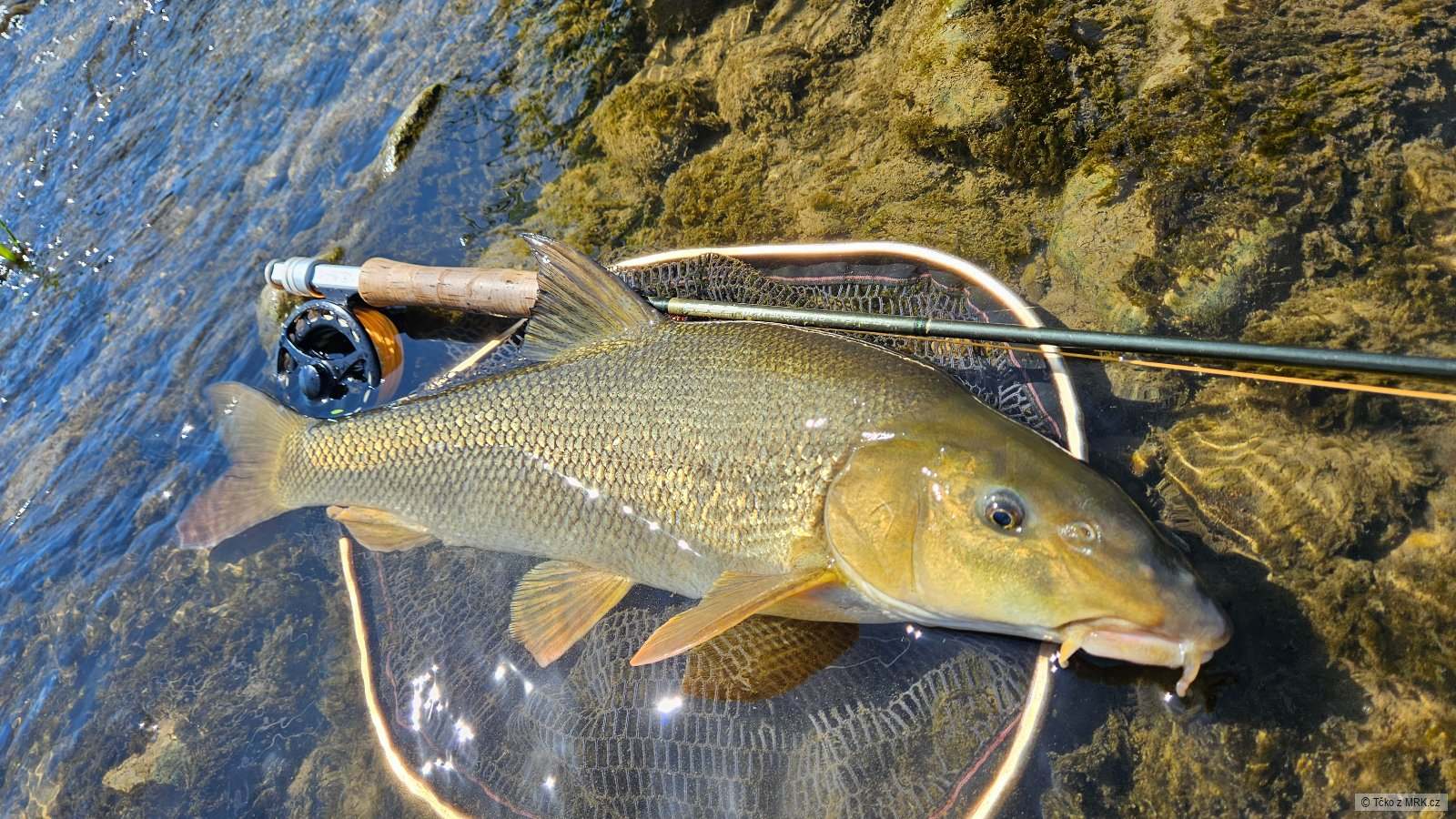 kliknutím fotku zvětšíte