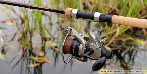 Delphin Naviják Chiméra