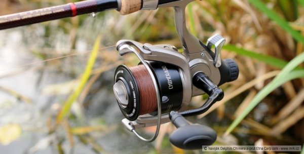 Delphin Naviják Chiméra