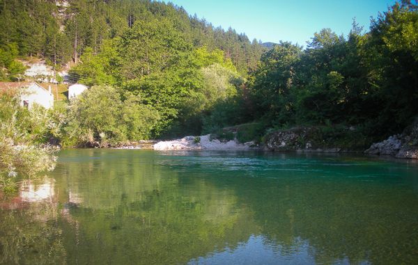 jedna