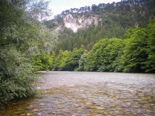 jedna