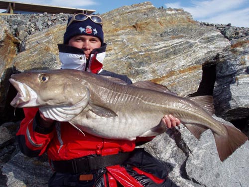 rybolov v Norsku - treska