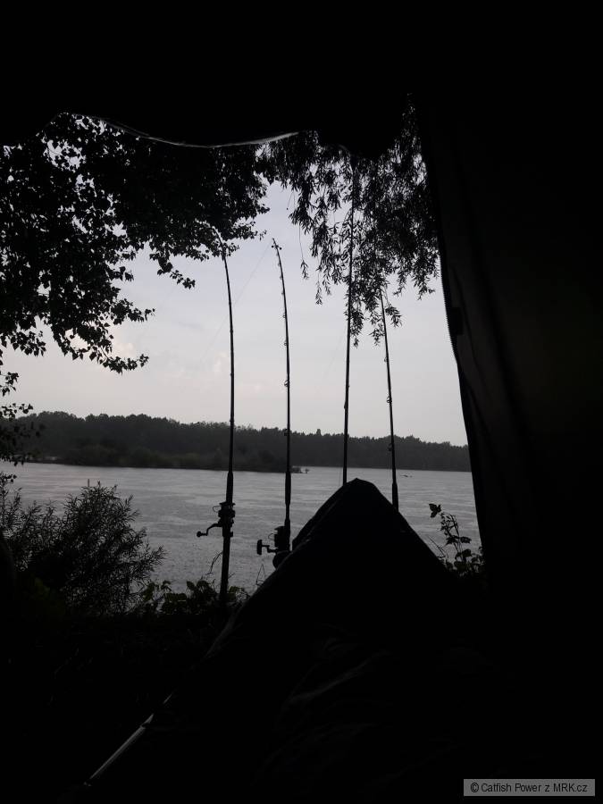 Ráno na Dunaji